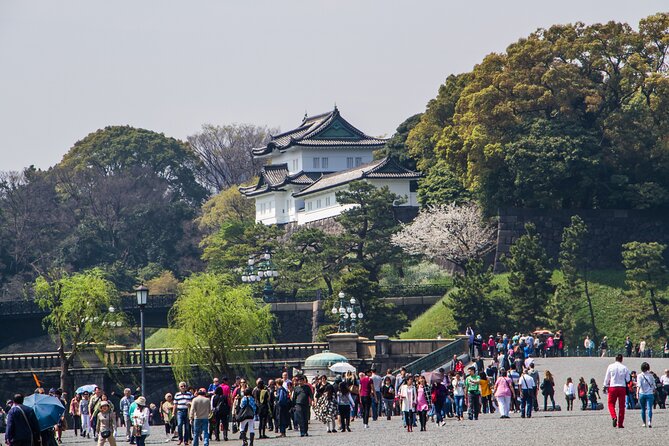 Full Tokyo: Meiji Shrine, Imperial Palace, Akihabara and Senso-ji - Schedule and Availability