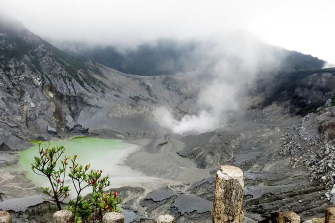 Fullday Bandung Volcano,Tea Plantation,Fruits Market With Lunch & Souvenir - Meeting and Pickup