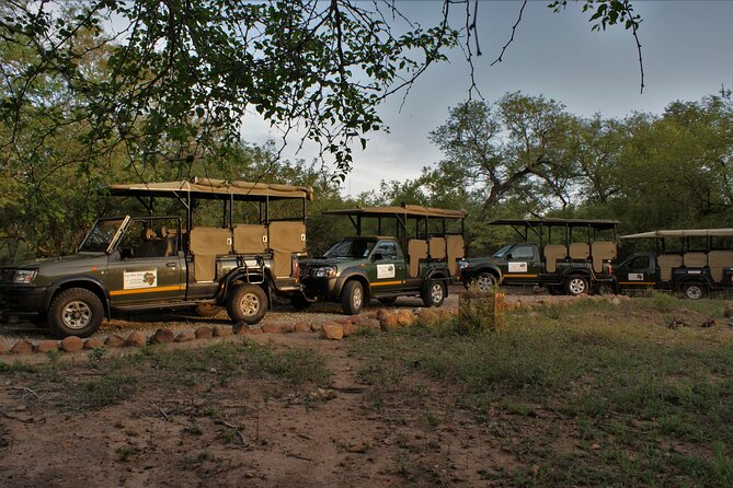 Fullday Gamedrives in Kruger National Park From Marlothpark - Pickup and Meeting Points