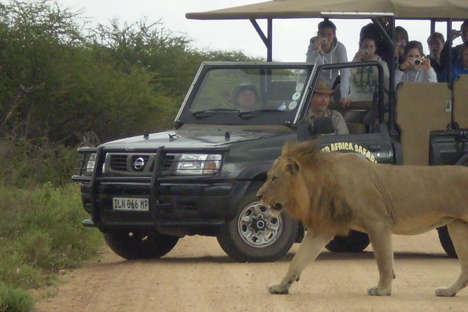 Fullday Gamedrives in Kruger National Park From Marlothpark - What to Expect on the Tour