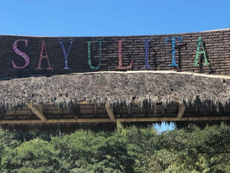 Full-Day Private Tour Puerto Vallarta to Sayulita Exploration - Authentic Insights from Past Reviewers