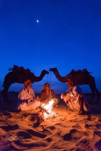 Fullday Pushkar Tour From Jaipur With Guid+Camel/Jeep Safari - Afternoon Excursions