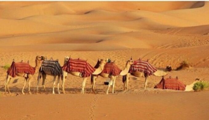 Fullday Pushkar Tour From Jaipur With Guid+Camel/Jeep Safari - Late Evening Options