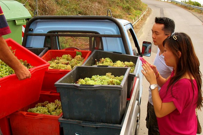 Fully-Day Private Tour to Cinque Terre From Florence - Review and Ratings