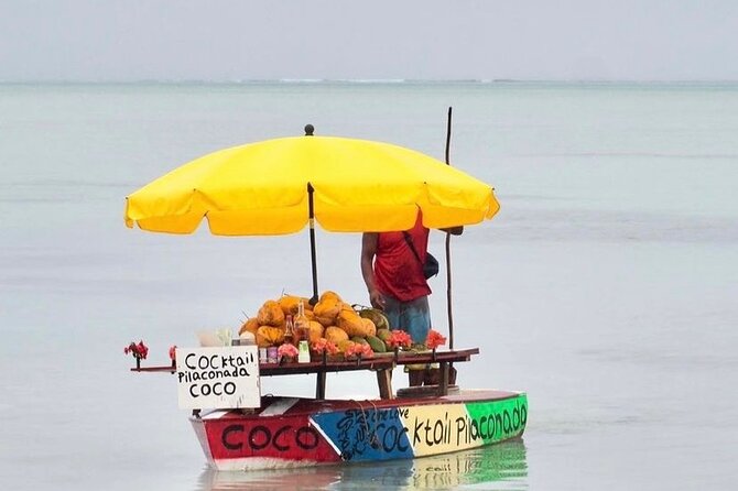Fully Day Tour: Dolphin Encounters, Crystal Rock at Benitiers Island - Accessibility and Recommendations