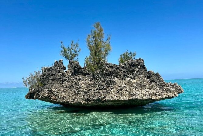 Fully Day Tour: Dolphin Encounters, Crystal Rock at Benitiers Island - Savoring the Benitier Islet BBQ