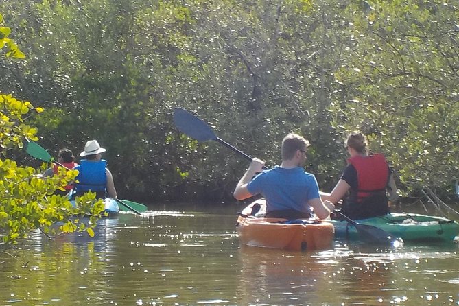 Fully Guided Kayaking Backwater Manatee and Dolphin Tour - Exploring the Mangrove Forests
