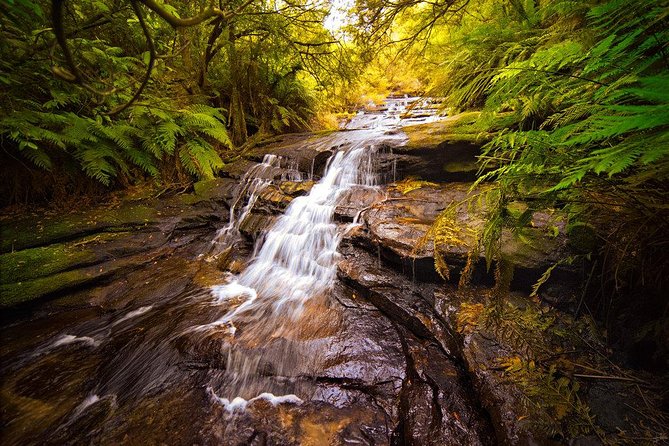 Fully Inclusive Blue Mountains Private Tour Inc Scenic World & Featherdale Entry - Key Points