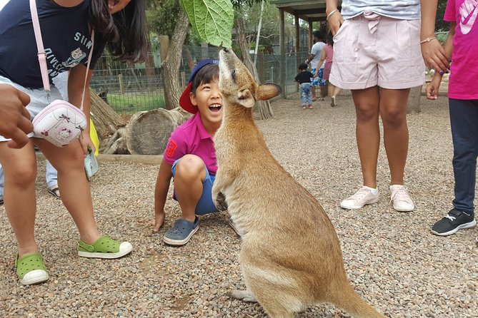 Fully Inclusive Blue Mountains Private Tour Inc Scenic World & Featherdale Entry - Customer Reviews