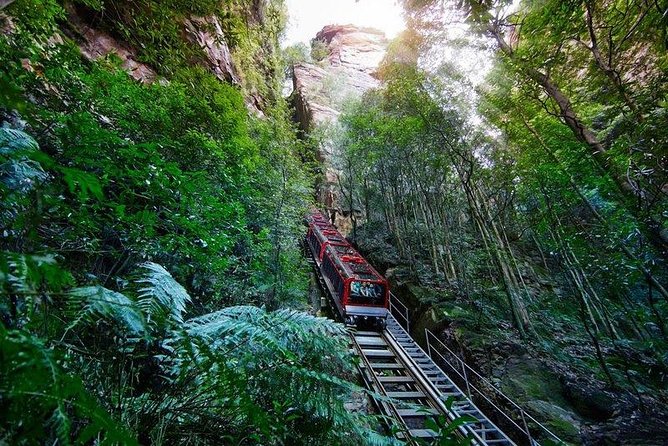 Fully Inclusive Blue Mountains Private Tour Inc Scenic World & Featherdale Entry - Pricing and Booking