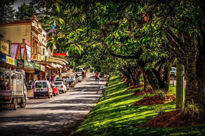 Fully Inclusive Blue Mountains Private Tour Inc Scenic World & Featherdale Entry - Personalized Experience