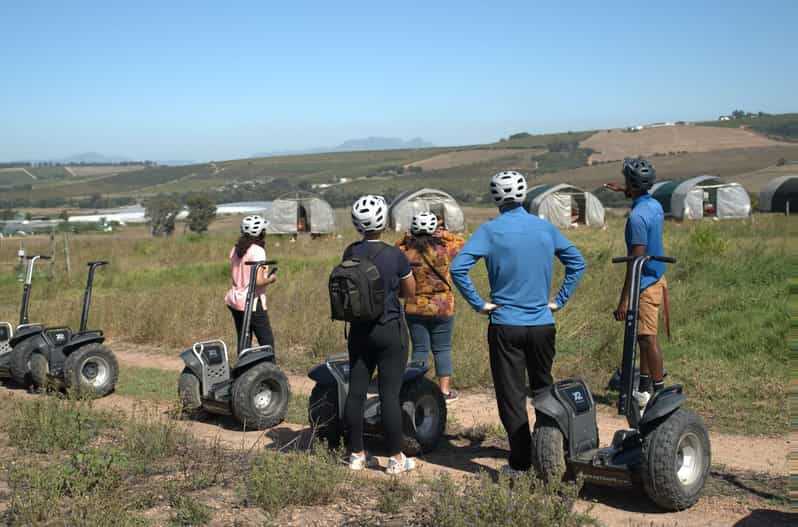 Fully Inclusive Cape Town & Winelands Adventure Tour - Accommodation and Meals
