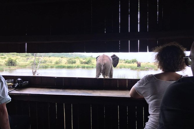 Fully Inclusive Pilanesbserg Safari From Johannesburg - Requirements
