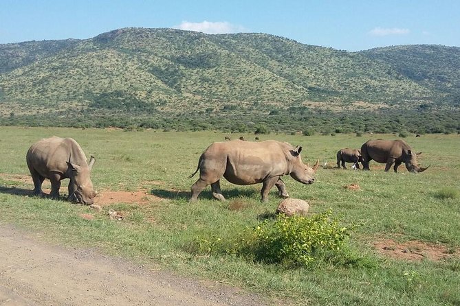 Fully Inclusive Pilanesbserg Safari From Johannesburg - Pickup and Drop-off