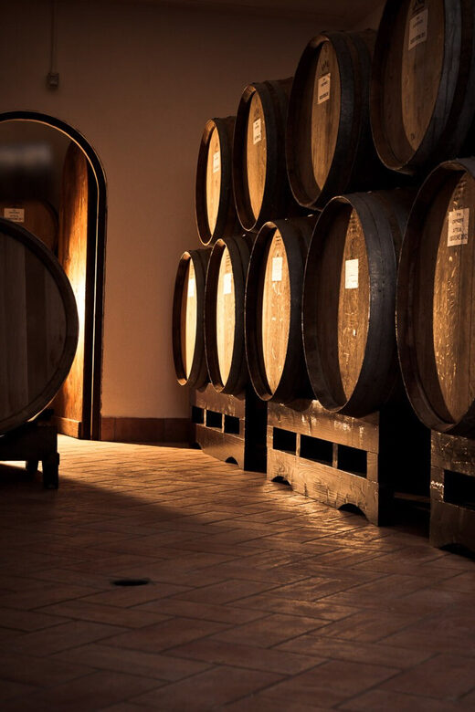 Fumane: Valpolicella Wine Tasting Tour in a Medieval Court - Key Points