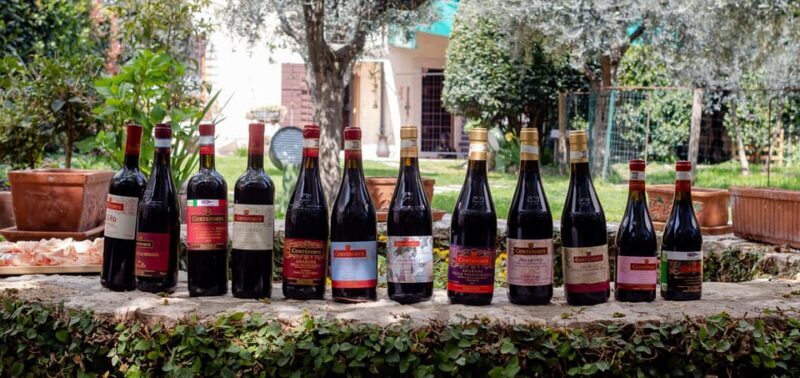 Fumane: Valpolicella Wine Tasting Tour in a Medieval Court - Wine Tasting Details