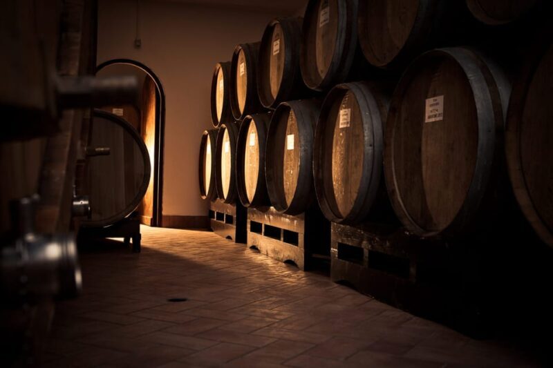 Fumane: Valpolicella Wine Tasting Tour in a Medieval Court - Exploring the Vineyard