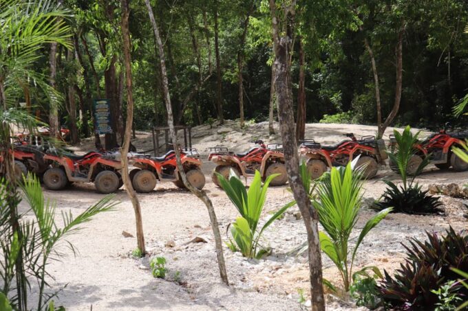 Fun & Adrenalin Jungle Experience: Atv, Zipline & Cenote - Frequently Asked Questions