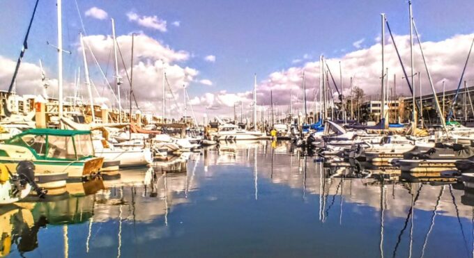 Fun Adventure Party Boat Cruise-Wine-Charcuterie & Sealions - Highlights of Experience