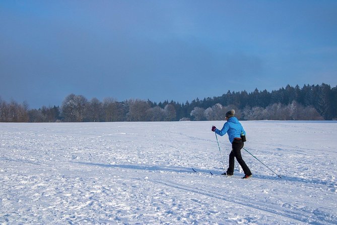Fun and Adventure: Sledge Run in Czech Mountains - Experiencing the Sledge Ride