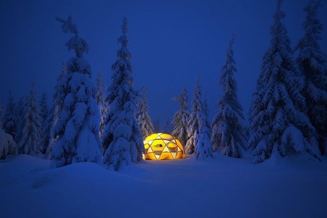 Fun and Adventure: Sledge Run in Czech Mountains - Booking and Policies