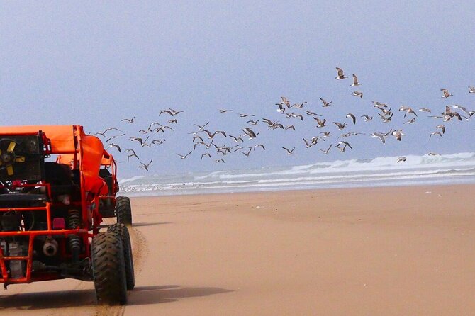 Fun Buggies in Agadir Forest and Beach Dunes - Traveler Reviews and Feedback