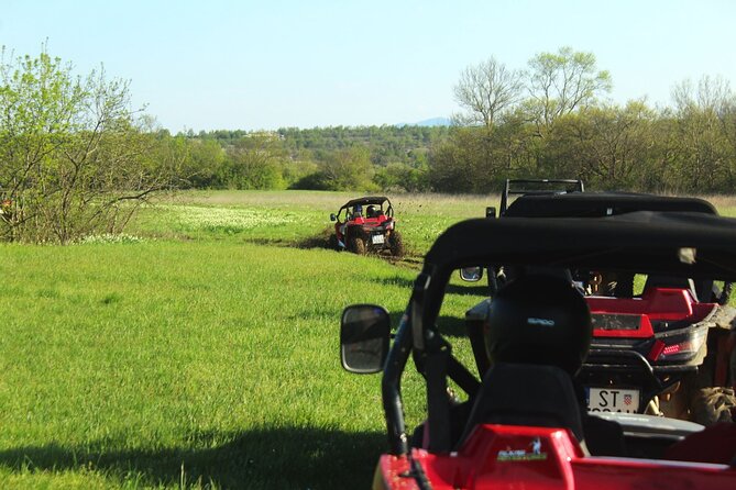 Fun Buggy/Quad Tour - Participant Requirements