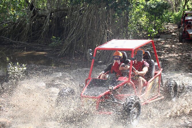 Fun Buggys by Maimon Puerto Plata - Customer Reviews