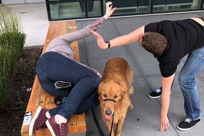Fun City Scavenger Hunt in Temecula by 3Quest Challenge - Booking and Cancellation Policy