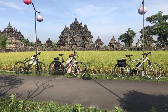 FUN Cycling Tour De Temples - Experienced Local Guides