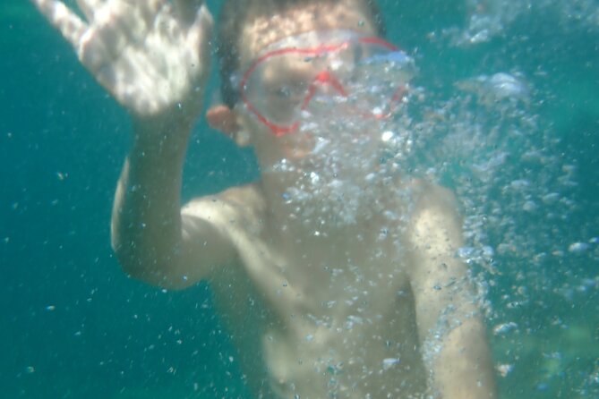 Fun Day at Sea - Encounters With Marine Life