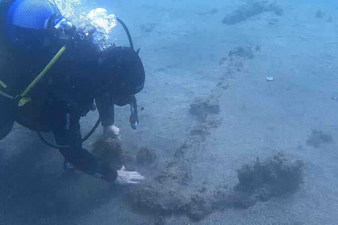Fun Dive -2 Dives - About the Fun Dive Experience