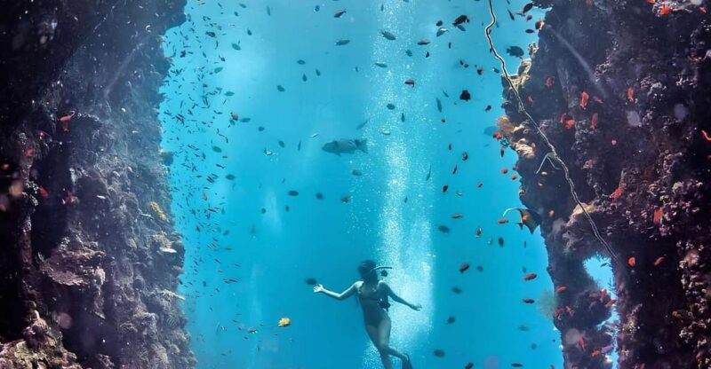 Fun Dive and Shipwreck Explorer - Key Points