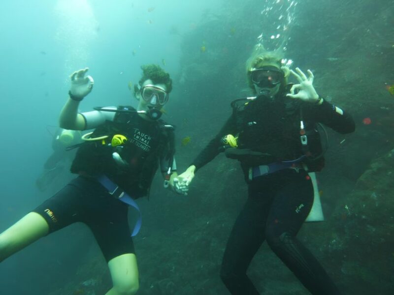 Fun Dive and Shipwreck Explorer - Diving Experience