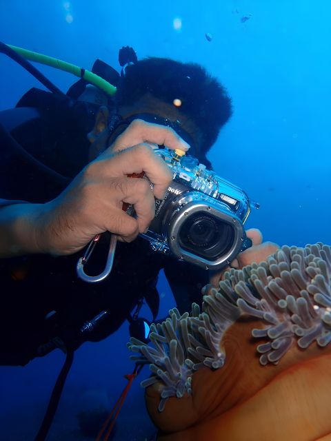 Fun Dive and Shipwreck Explorer - Important Information