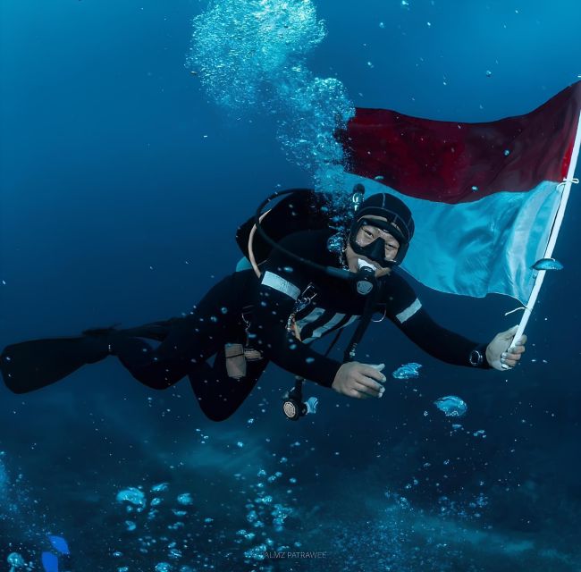 Fun Dive and Shipwreck Explorer - Pricing and Availability