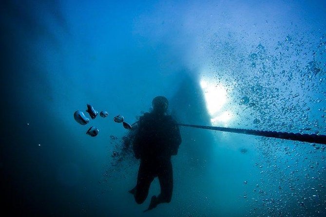 Fun Dives For Certified Divers - Diving Certification
