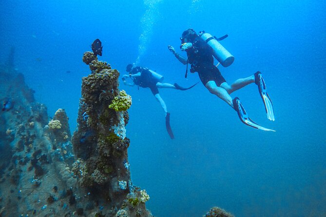 Fun Dives For Certified Divers - Good To Know