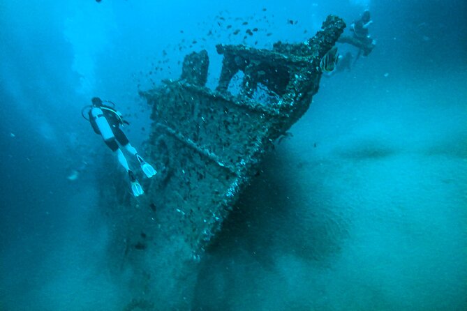 Fun Dives For Certified Divers - Dive Experience Highlights