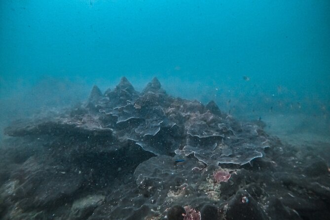 Fun Dives For Certified Divers - Included Equipment and Amenities
