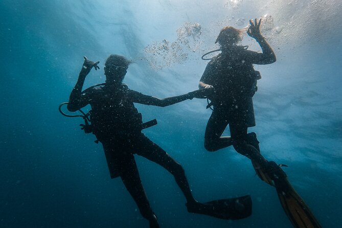 Fun Dives For Certified Divers - Meeting and End Points