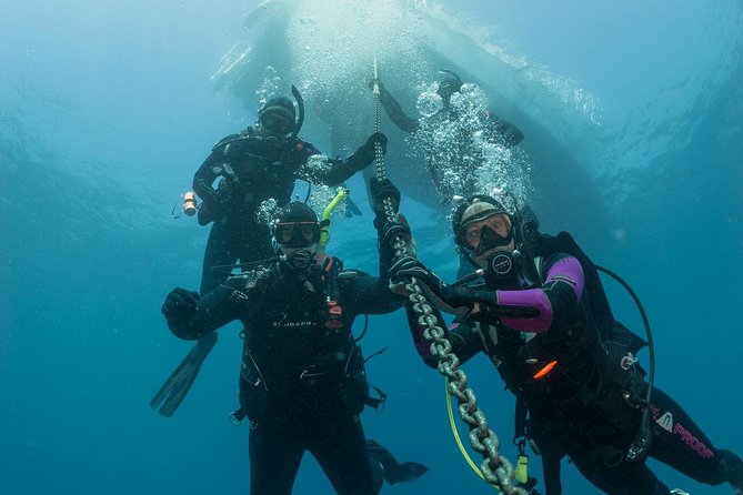 Fun Dives For Certified Divers - Key Points
