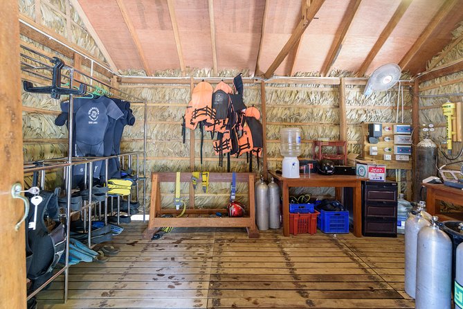 Fun Dives For Certified Divers - Location and Resort