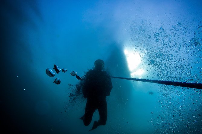 Fun Dives For Certified Divers - Scuba Diving Experience