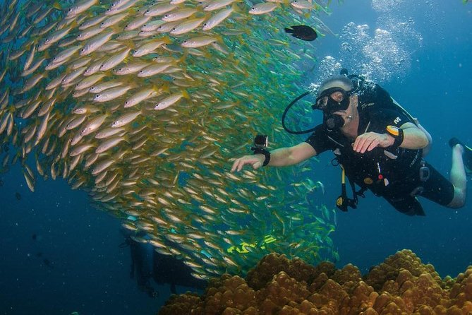 Fun Diving Safari Day Trip From Koh Lanta - Certified Divers - Requirements and Restrictions
