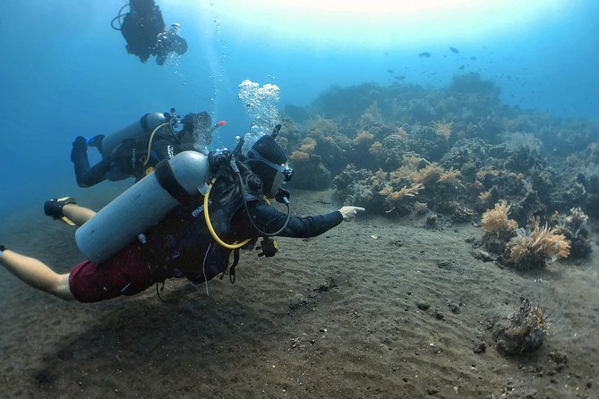 Fun Diving Tulamben Bali - For Certified Divers - Inclusions