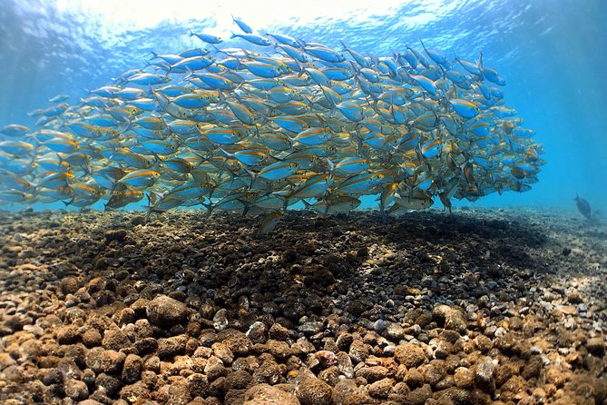 Fun Diving Tulamben Bali - For Certified Divers - Frequently Asked Questions