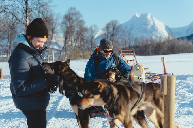 Fun & Easy Dog Sledding Adventure - Early Bird - Unique Sled Experience