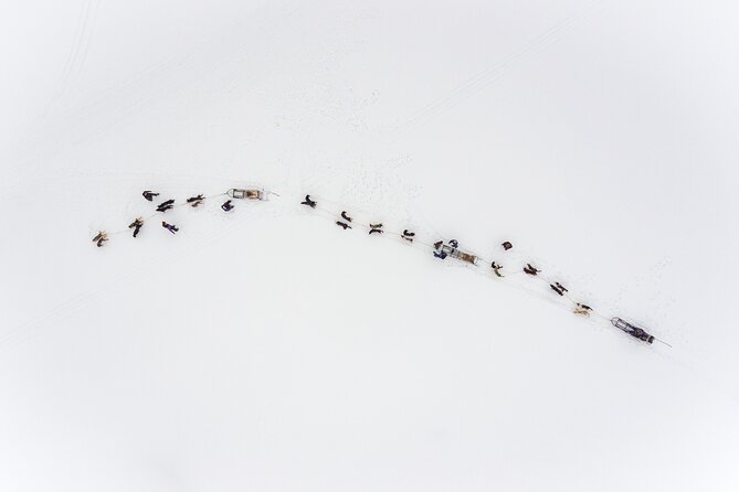 Fun & Easy Dog Sledding Adventure - Early Bird - Spotting the Northern Lights