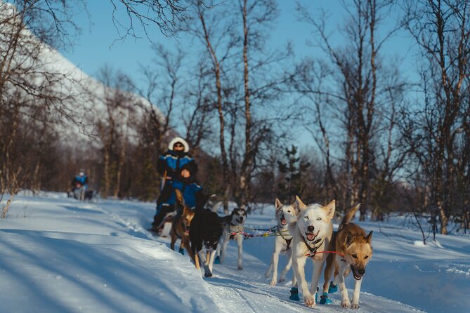 Fun & Easy Dog Sledding Adventure - Early Bird - Booking Confirmation and Considerations